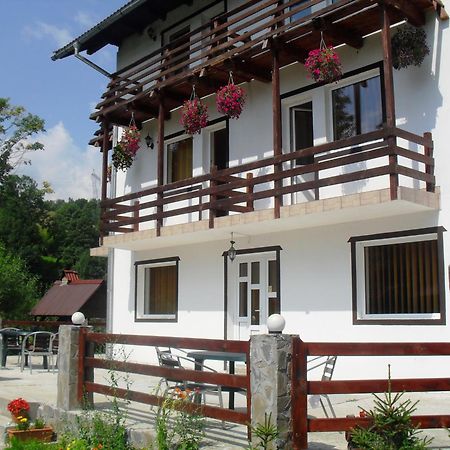 Vila Doina Branului Μπραν Εξωτερικό φωτογραφία