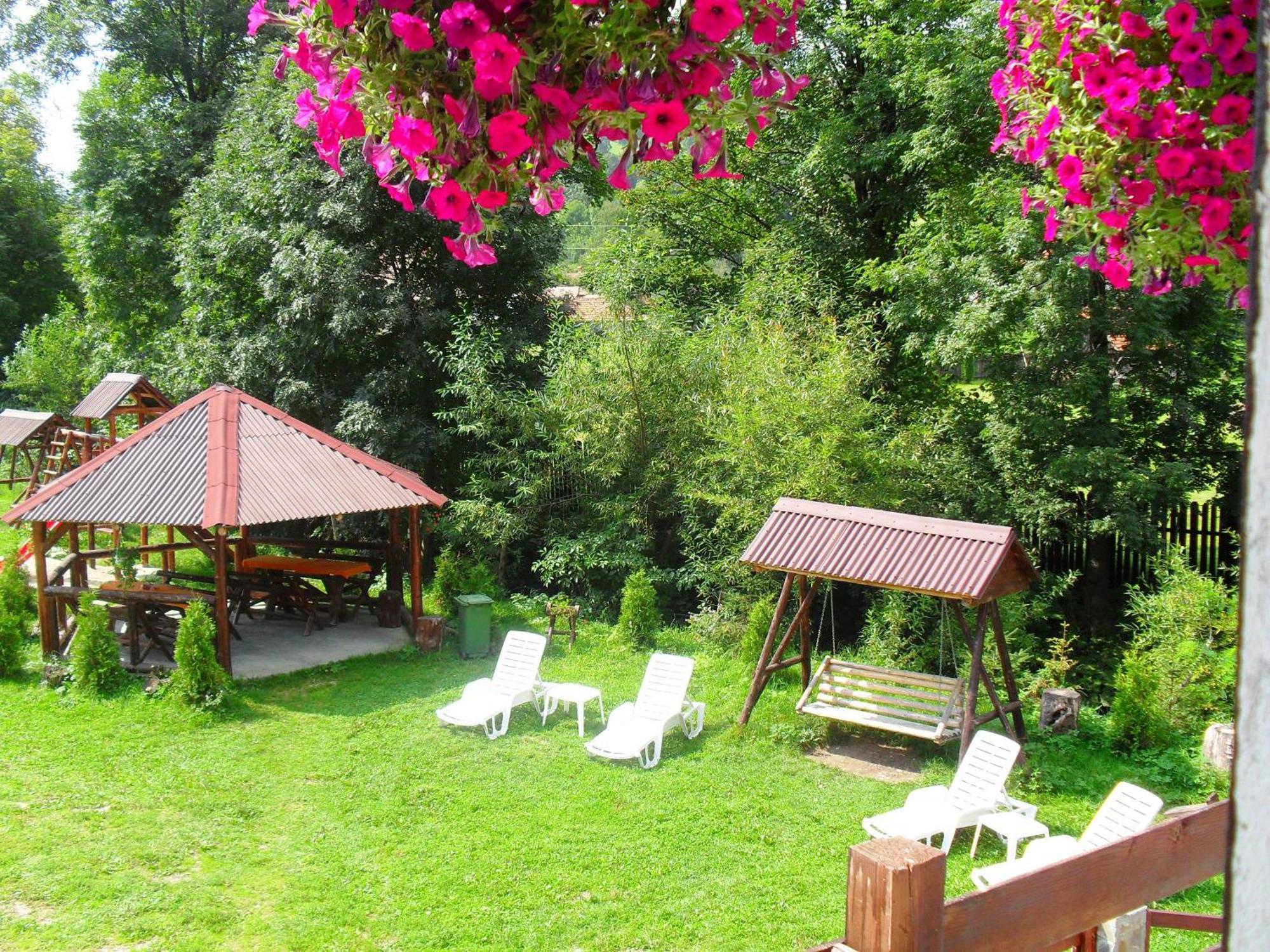 Vila Doina Branului Μπραν Εξωτερικό φωτογραφία