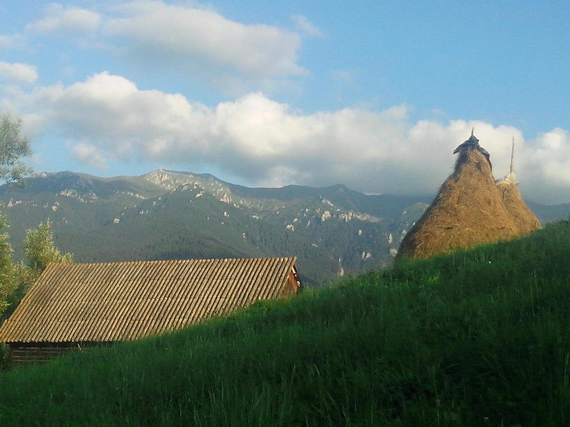 Vila Doina Branului Μπραν Εξωτερικό φωτογραφία